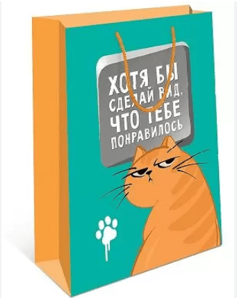 Пакет подарочный Хотя бы сделай вид, что тебе понравилось 18*23*10см Арт дизайн